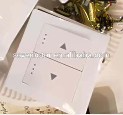 250V AC wall-mounted electronic switch